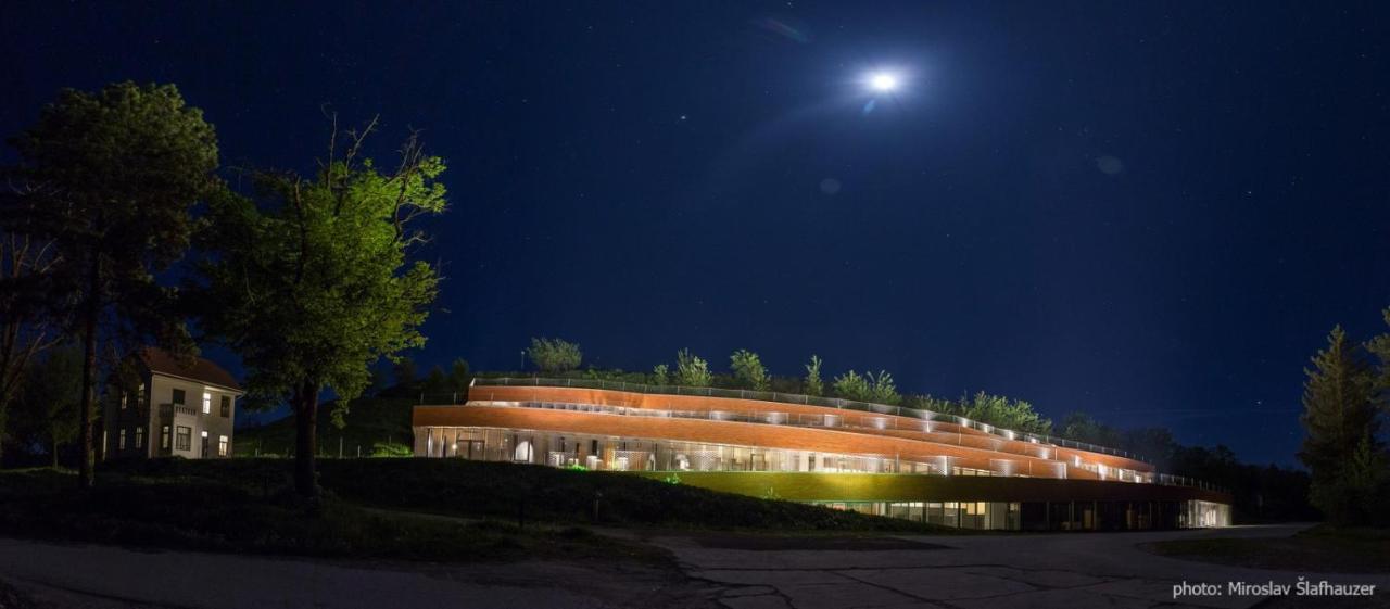 Vila Rosa Vukovar Bed & Breakfast Eksteriør bilde